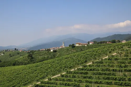 Le Colline del Prosecco di Conegliano e Valdobbiadene: guida al Patrimonio UNESCO