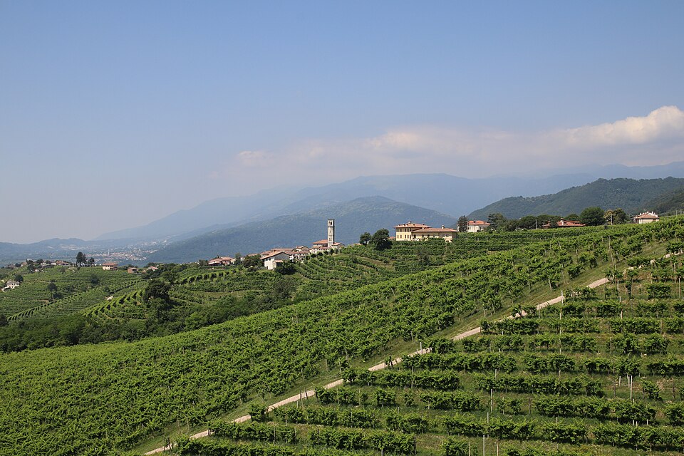 Le Colline del Prosecco di Conegliano e Valdobbiadene: guida al Patrimonio UNESCO