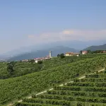 Le Colline del Prosecco di Conegliano e Valdobbiadene: guida al Patrimonio UNESCO