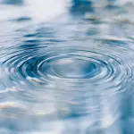Celestina a Venezia, progetto scuola sull’acqua