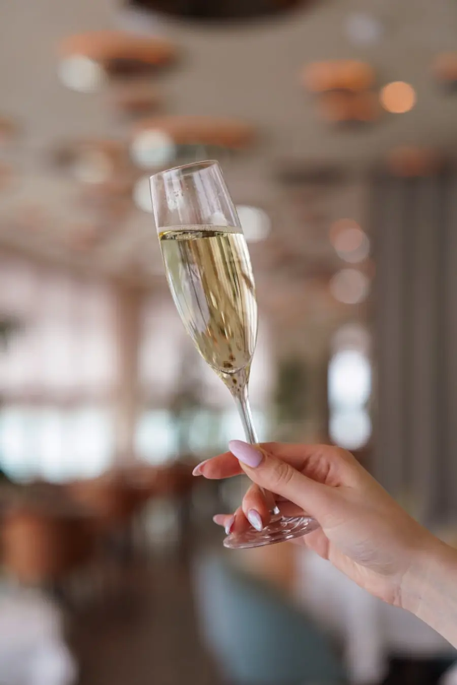 La Strada del Prosecco: come percorrere i 90 km tra Conegliano e Valdobbiadene tra cantine e panorami