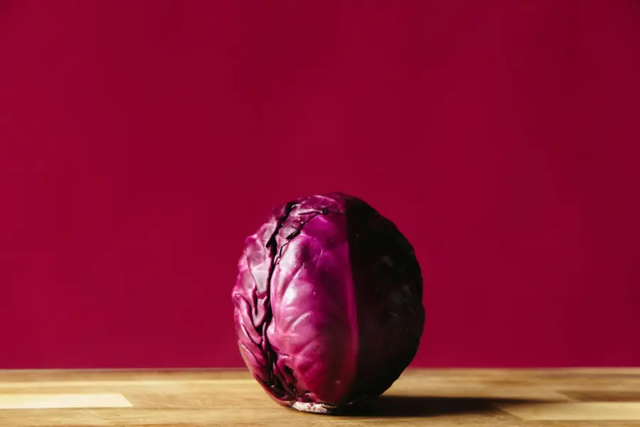 Il radicchio di Treviso IGP: storia, varietà, ricette e dove assaggiarlo nella Marca Trevigiana