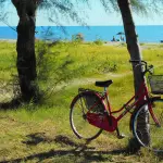 Treviso, 5,2 milioni dal MASE per la mobilità sostenibile