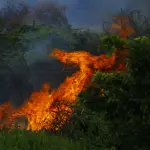 Isola Vicentina, incendio nell’impianto rifiuti: controlli Arpav