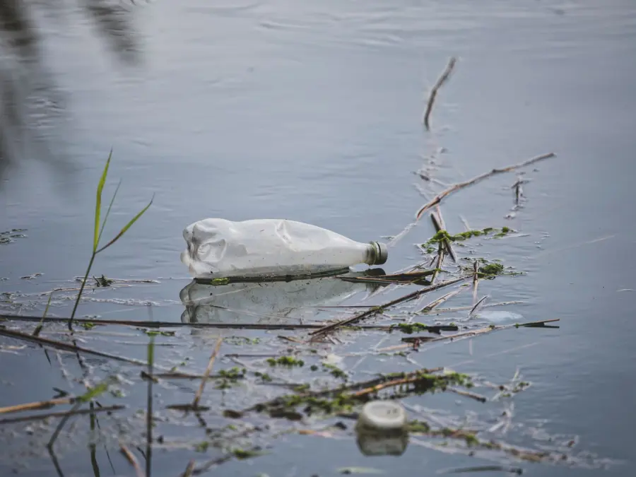 Fontaniva, Wastereduce contro i rifiuti lungo il Brenta