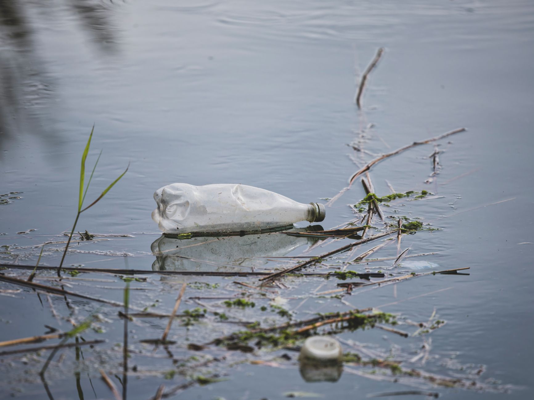 Fontaniva, Wastereduce contro i rifiuti lungo il Brenta