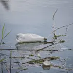 Fontaniva, Wastereduce contro i rifiuti lungo il Brenta