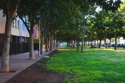 Treviso, variante urbanistica: 9,5 ettari tornano a verde
