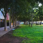 Treviso, variante urbanistica: 9,5 ettari tornano a verde