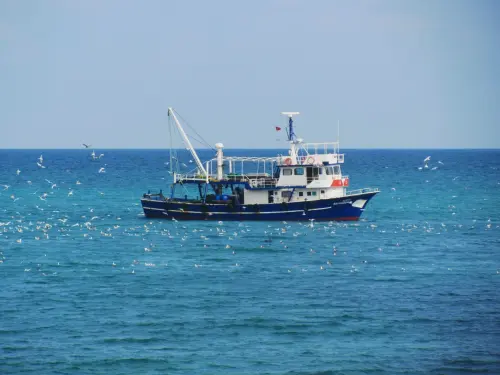 Lago di Garda, 100mila euro per la pesca del siluro