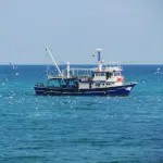 Lago di Garda, 100mila euro per la pesca del siluro