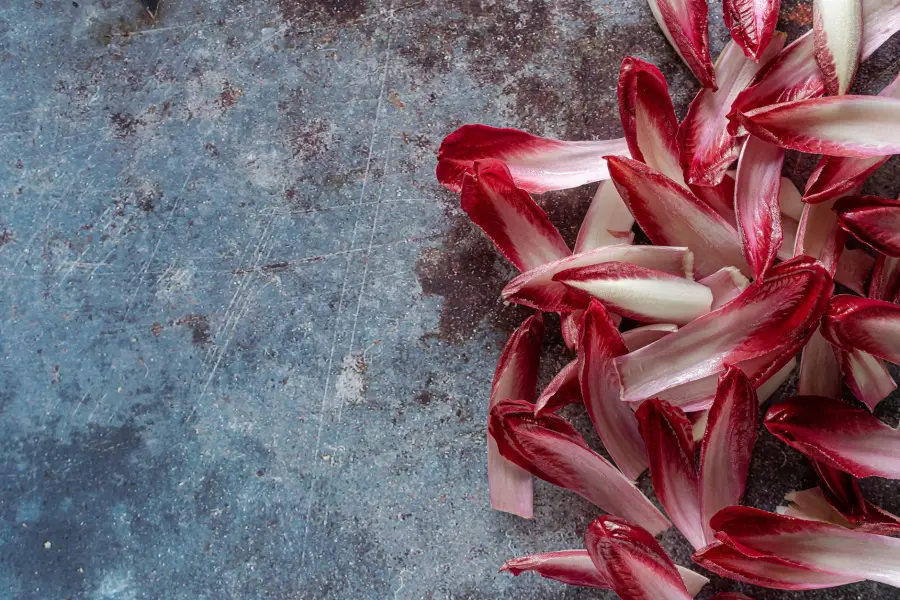 Radicchio Rosso di Treviso IGP: storia e territorio