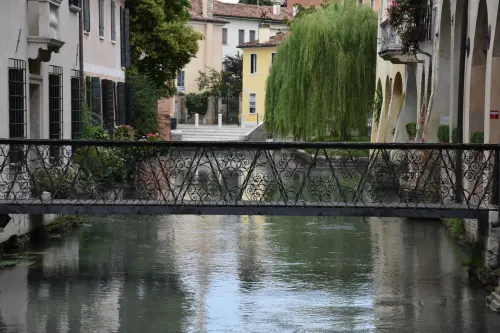 Treviso, arriva “Pimpa va a Treviso”: eventi fino al 30 ottobre