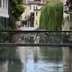 Treviso, arriva “Pimpa va a Treviso”: eventi fino al 30 ottobre
