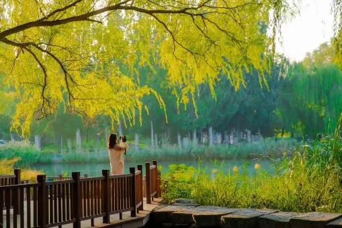 Parco del Botteniga, Treviso acquisisce un’area chiave: verso un nuovo polmone verde urbano