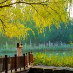 Parco del Botteniga, Treviso acquisisce un’area chiave: verso un nuovo polmone verde urbano