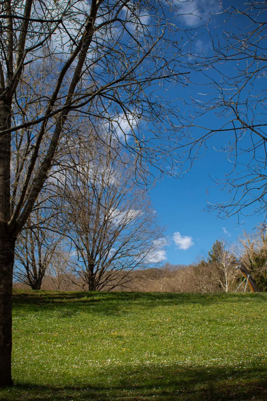 Treviso, nuovo volto per il Parco dello Storga con sito e audioguide