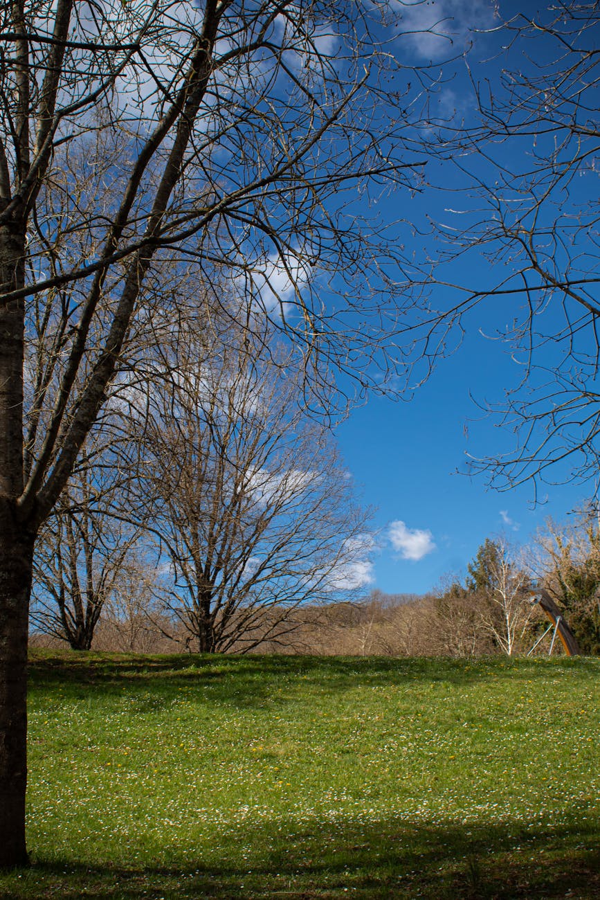 Treviso, nuovo volto per il Parco dello Storga con sito e audioguide