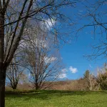 Treviso, nuovo volto per il Parco dello Storga con sito e audioguide