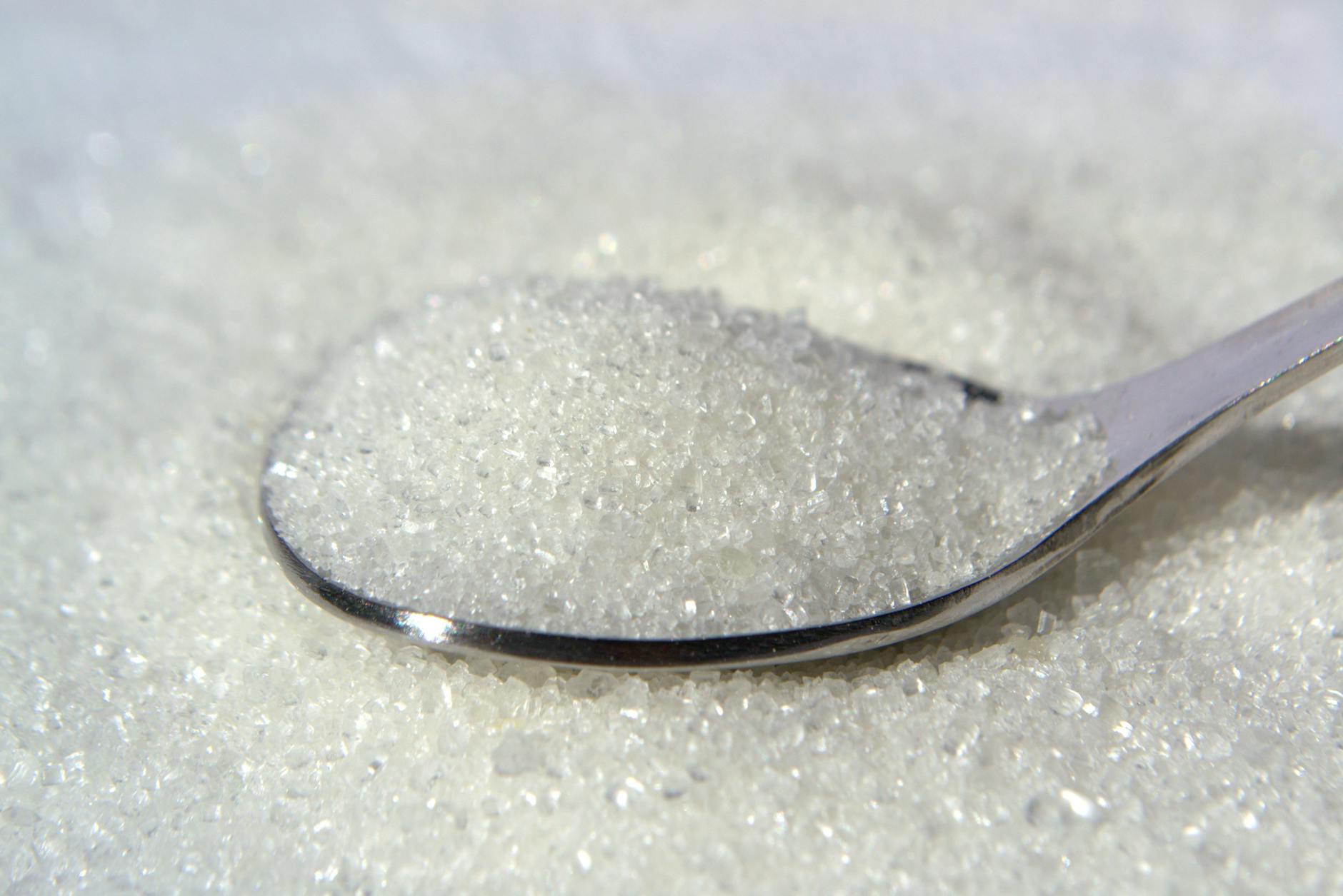 Zucchero veneto, 600mila euro per la barbabietola