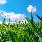 Arpav, nuova sezione su droni e satelliti per l’ambiente
